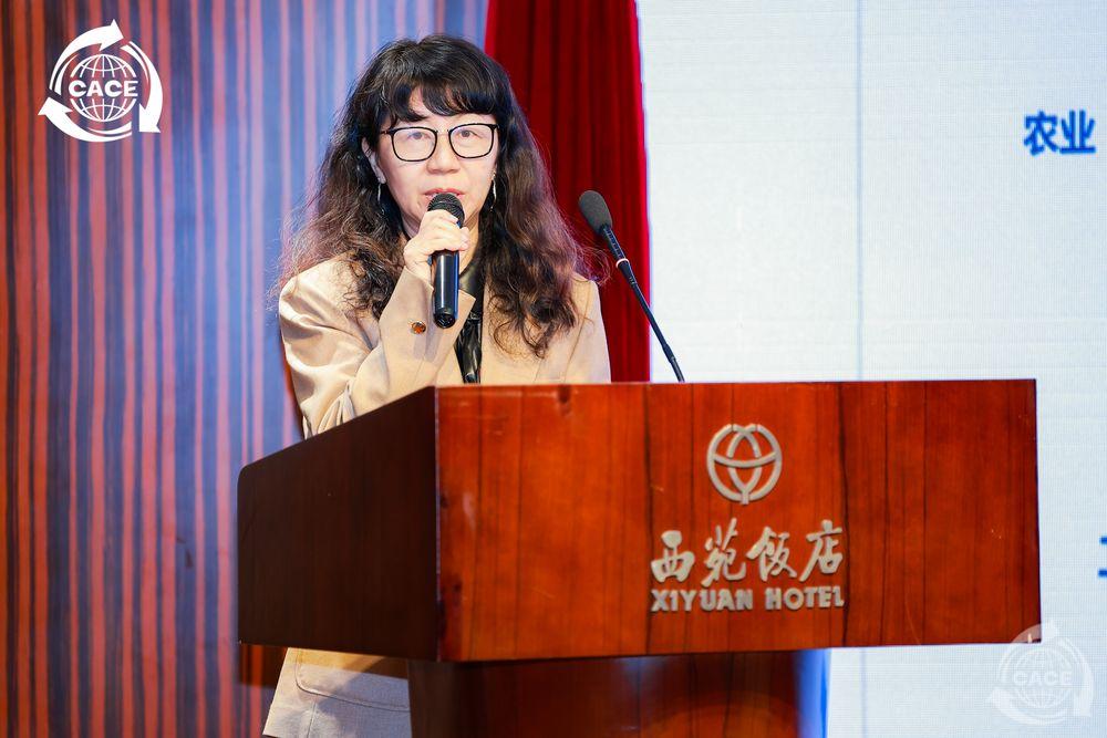 徐世美_網站.jpg